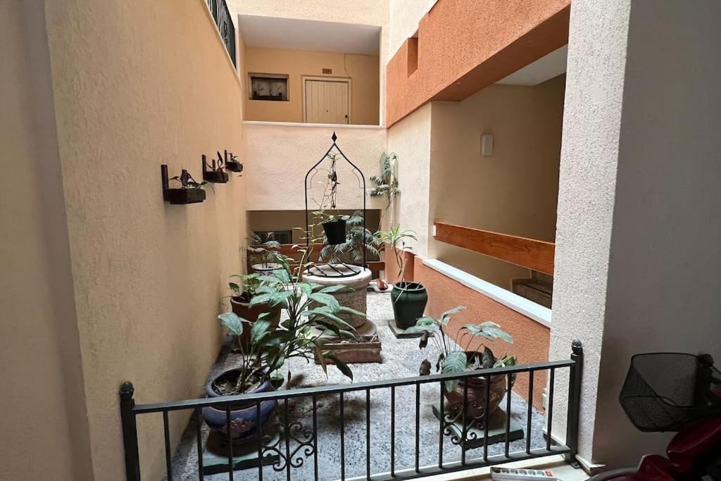 Estudio Aguila Con Vistas Al Mar 贝纳尔马德纳 外观 照片
