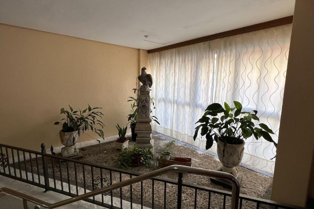 Estudio Aguila Con Vistas Al Mar 贝纳尔马德纳 外观 照片